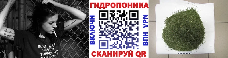 Конопля план  Купить закладки  Ковылкино 